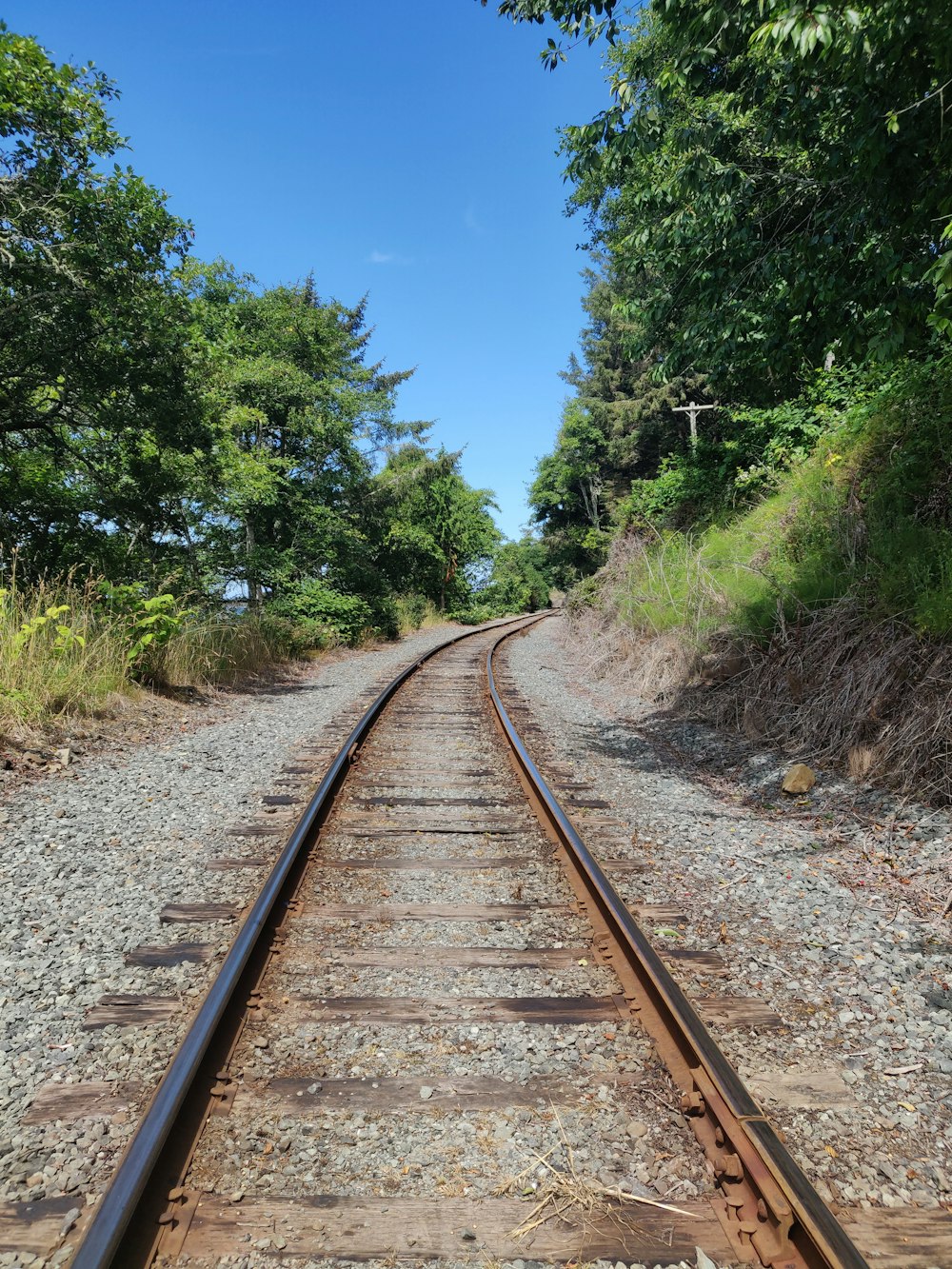 rotaia marrone del treno