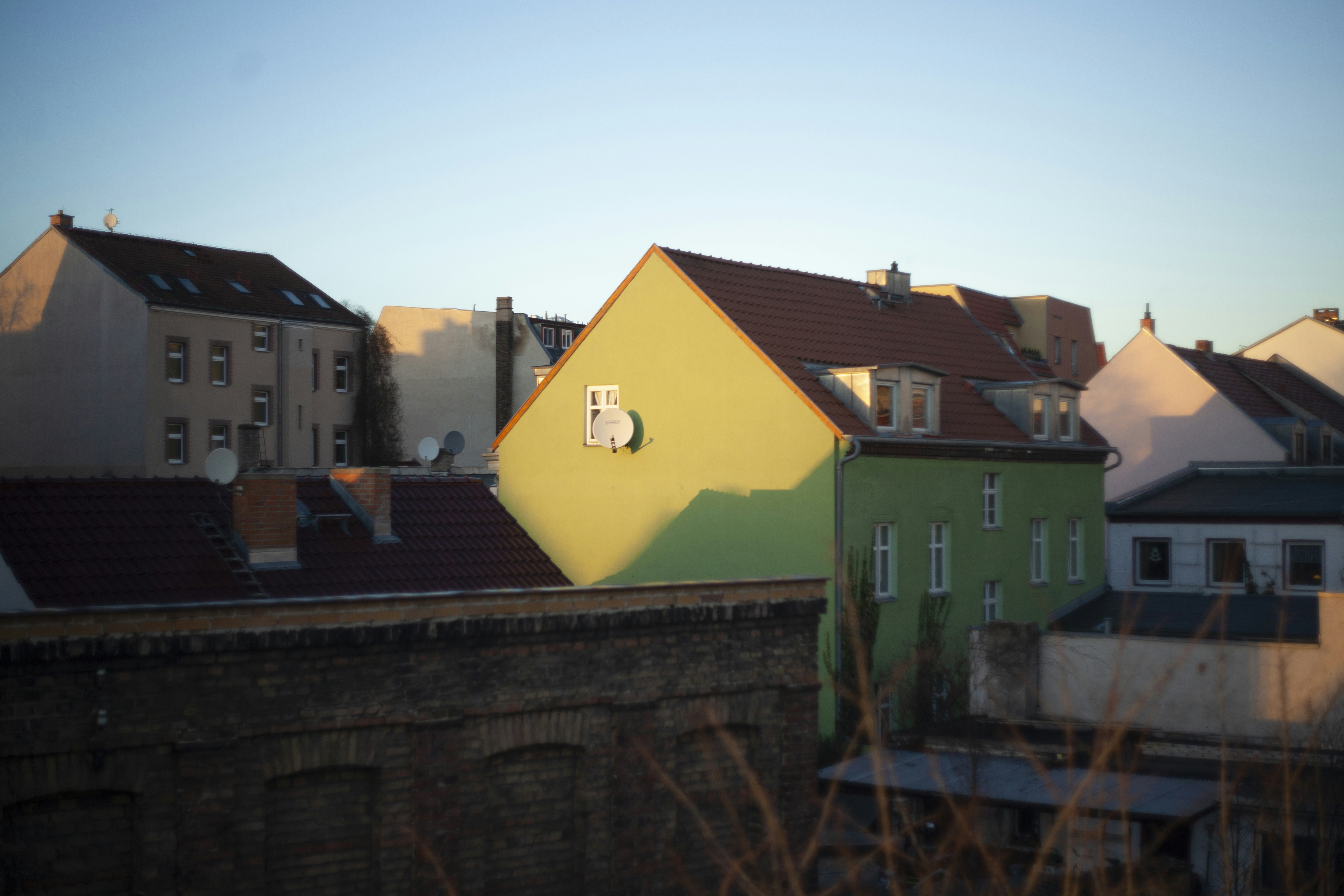 Image by Zoya Loonohod via Unsplash