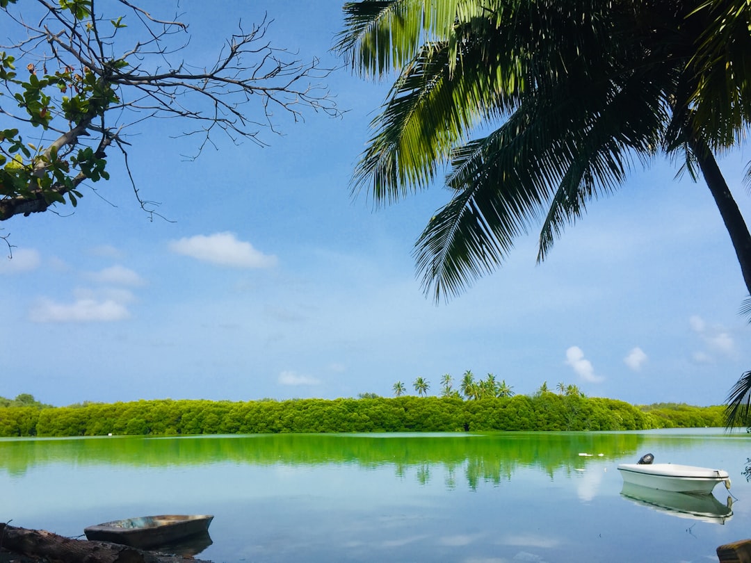 travelers stories about Natural landscape in Ziyaaraiy Magu, Maldives