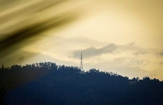 A telecommunications tower stands atop a hill covered with dense foliage and silhouetted against a cloudy sky. The scene is serene and enveloped in muted tones, suggesting evening or early morning light.