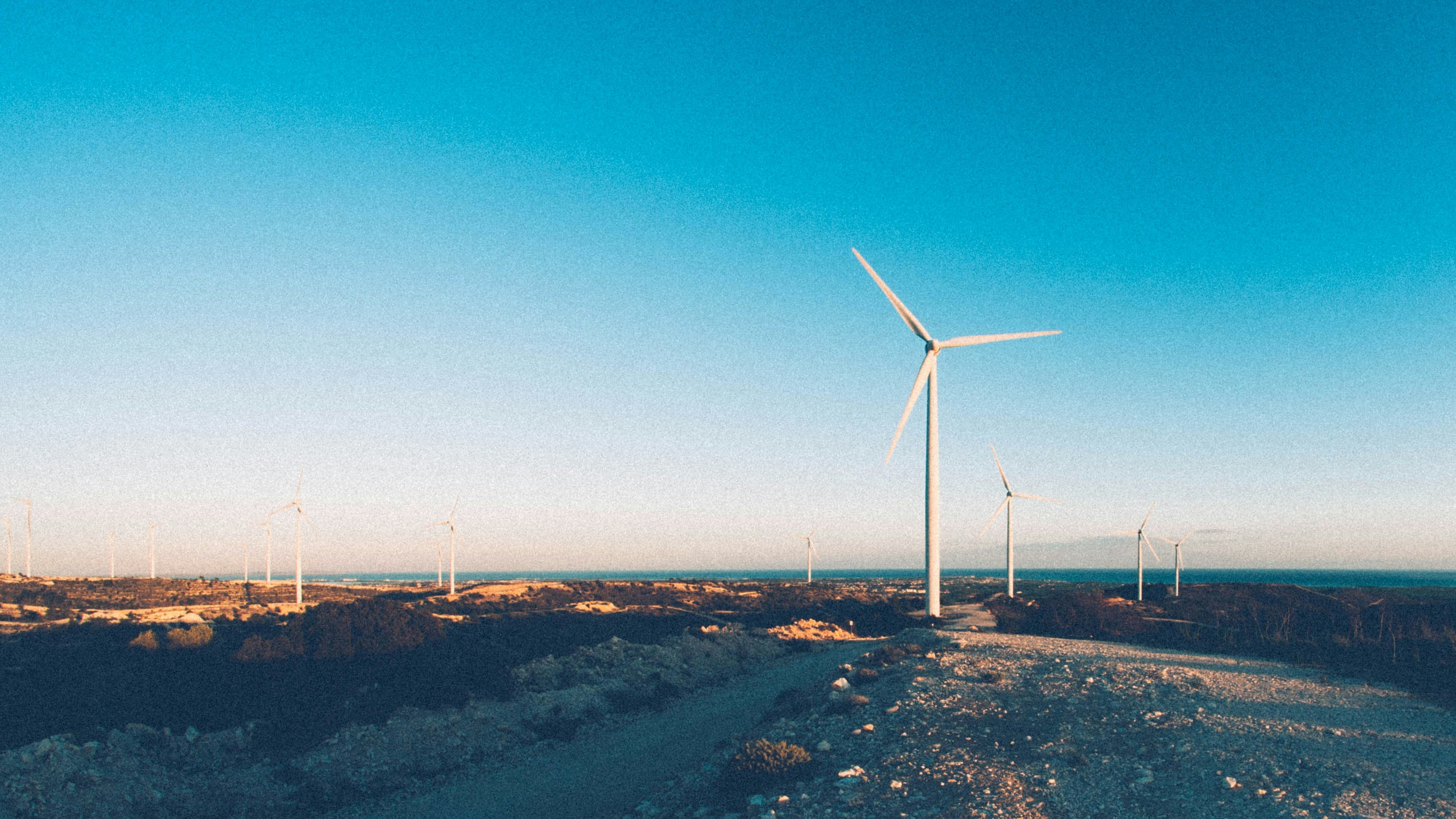 Photo by iconquistador