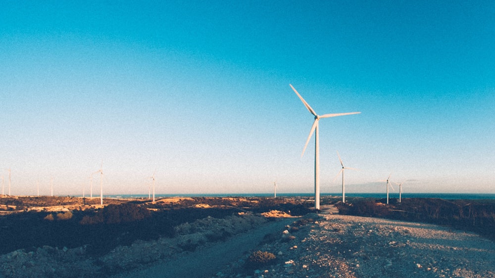 wind turbines under clear sky