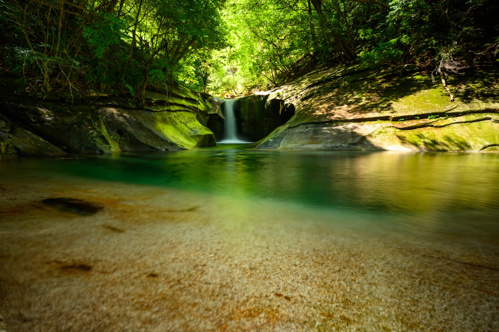 small waterfall under trees at daytime