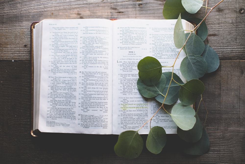 open bible with leaves on top