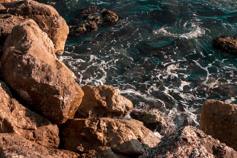 ocean wave on rocks