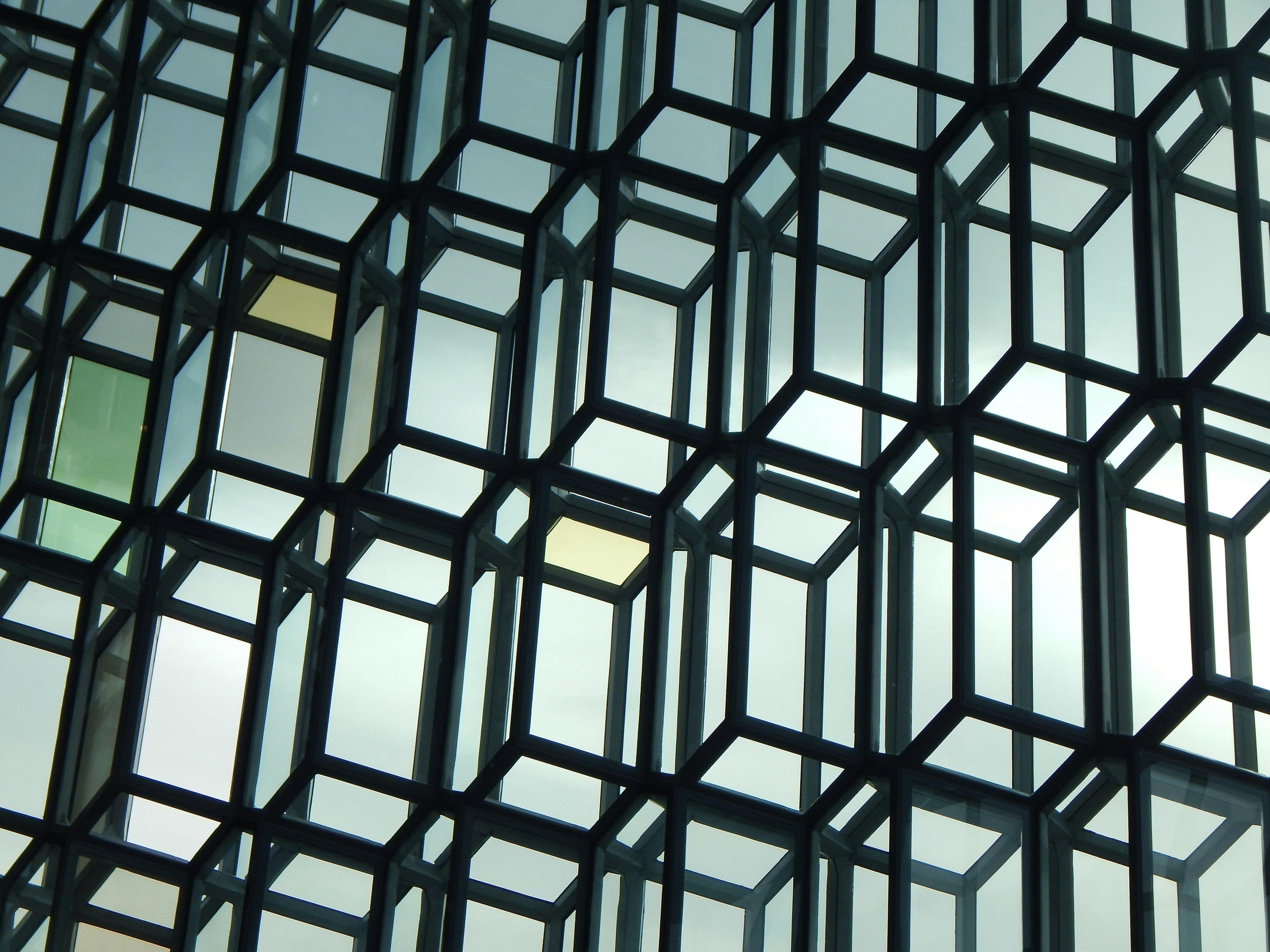 艺术中的图案之悦