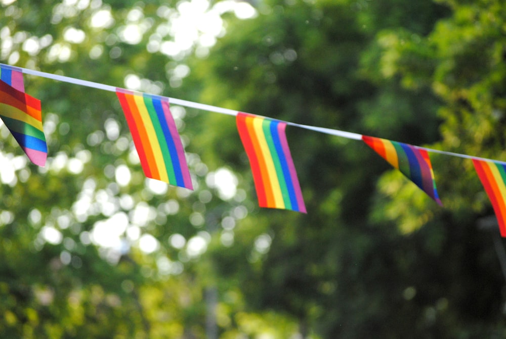 multicolored striped buntings