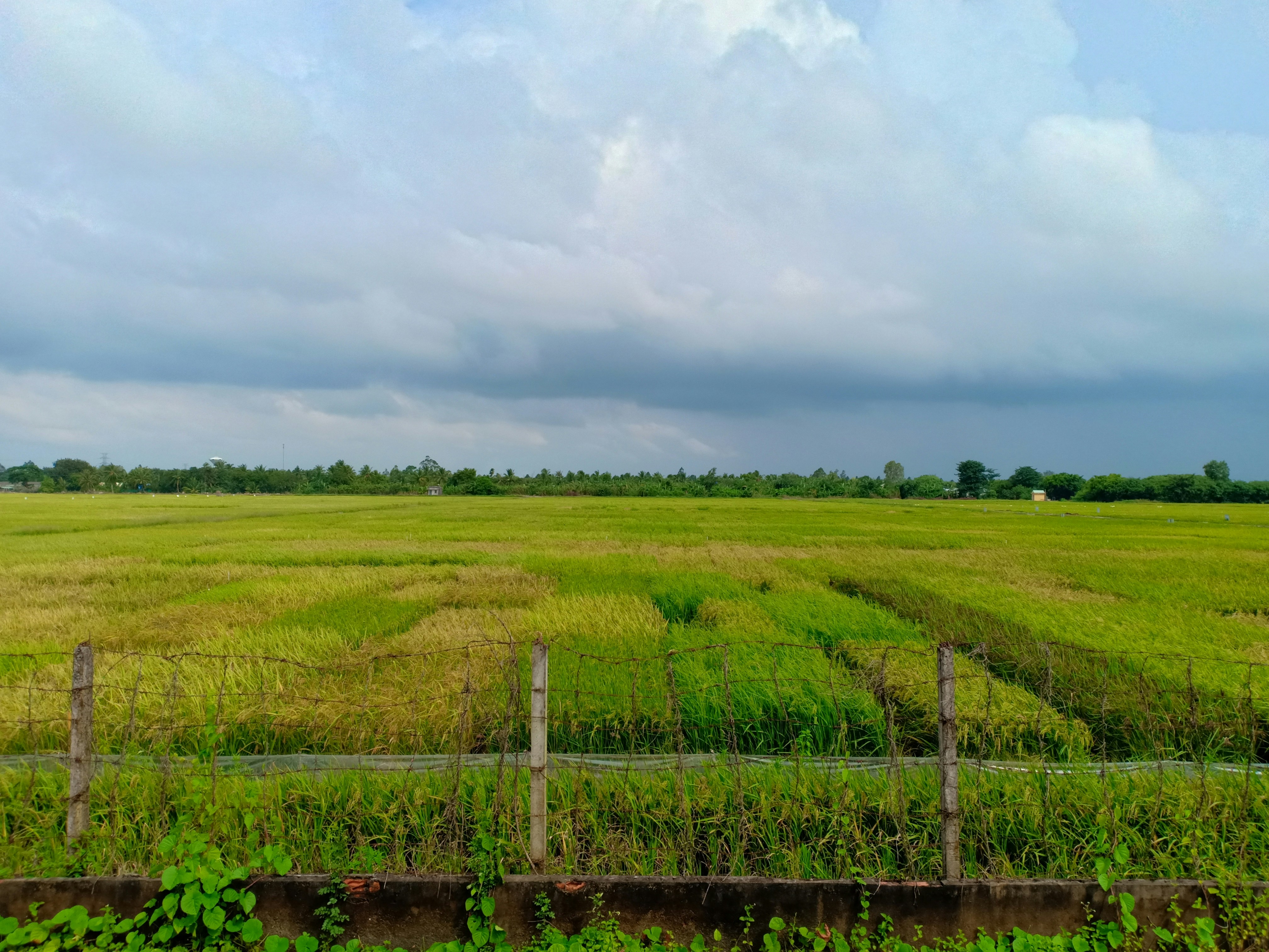 Photo by yeon01050508