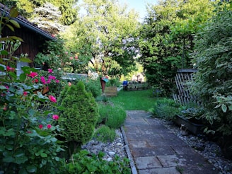 An inviting garden path lined with wooden borders and vibrant flowers.