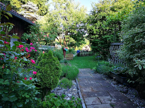 A lush, well-manicured garden pathway bordered by colorful blooming flowers.