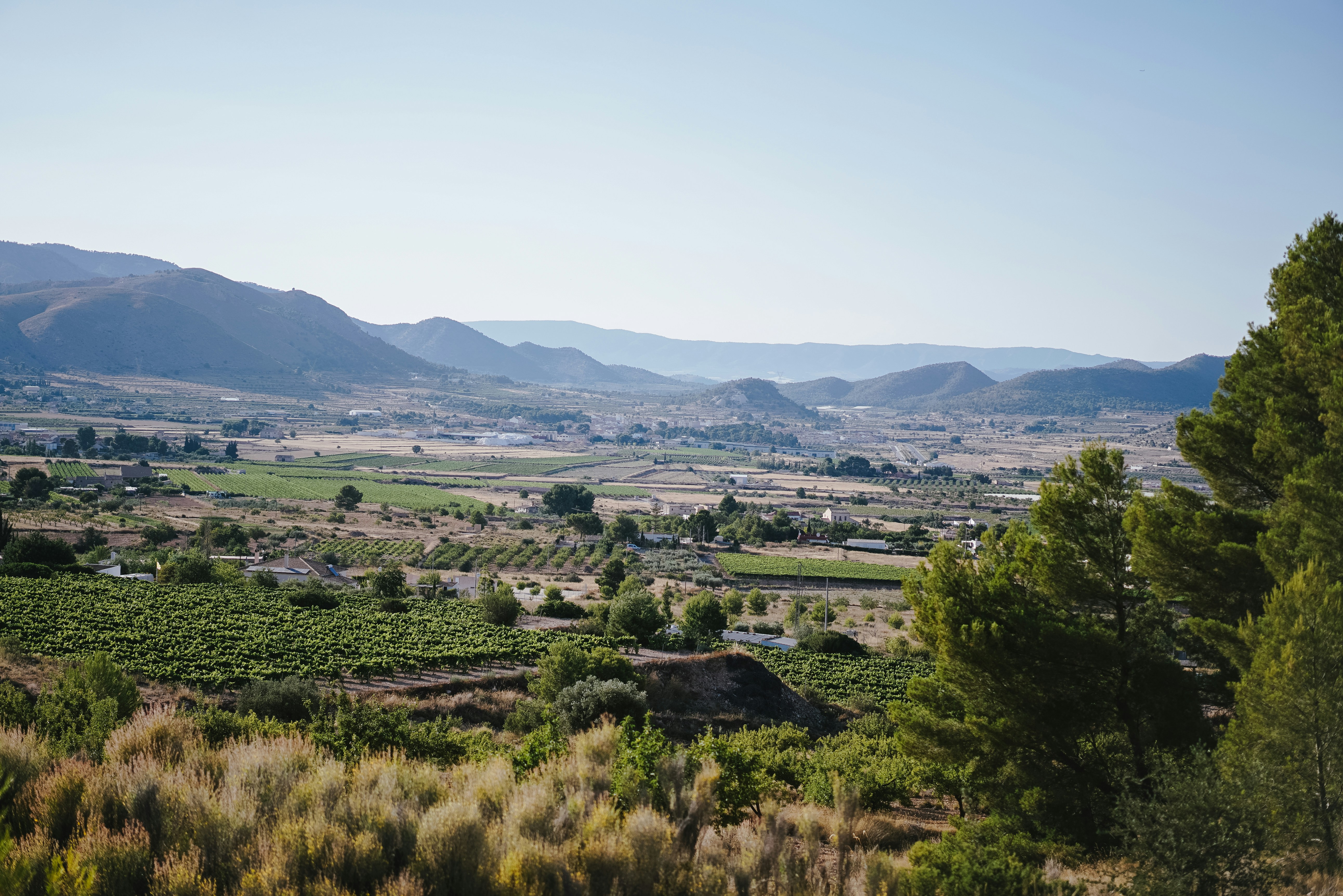 Photo by philhearing