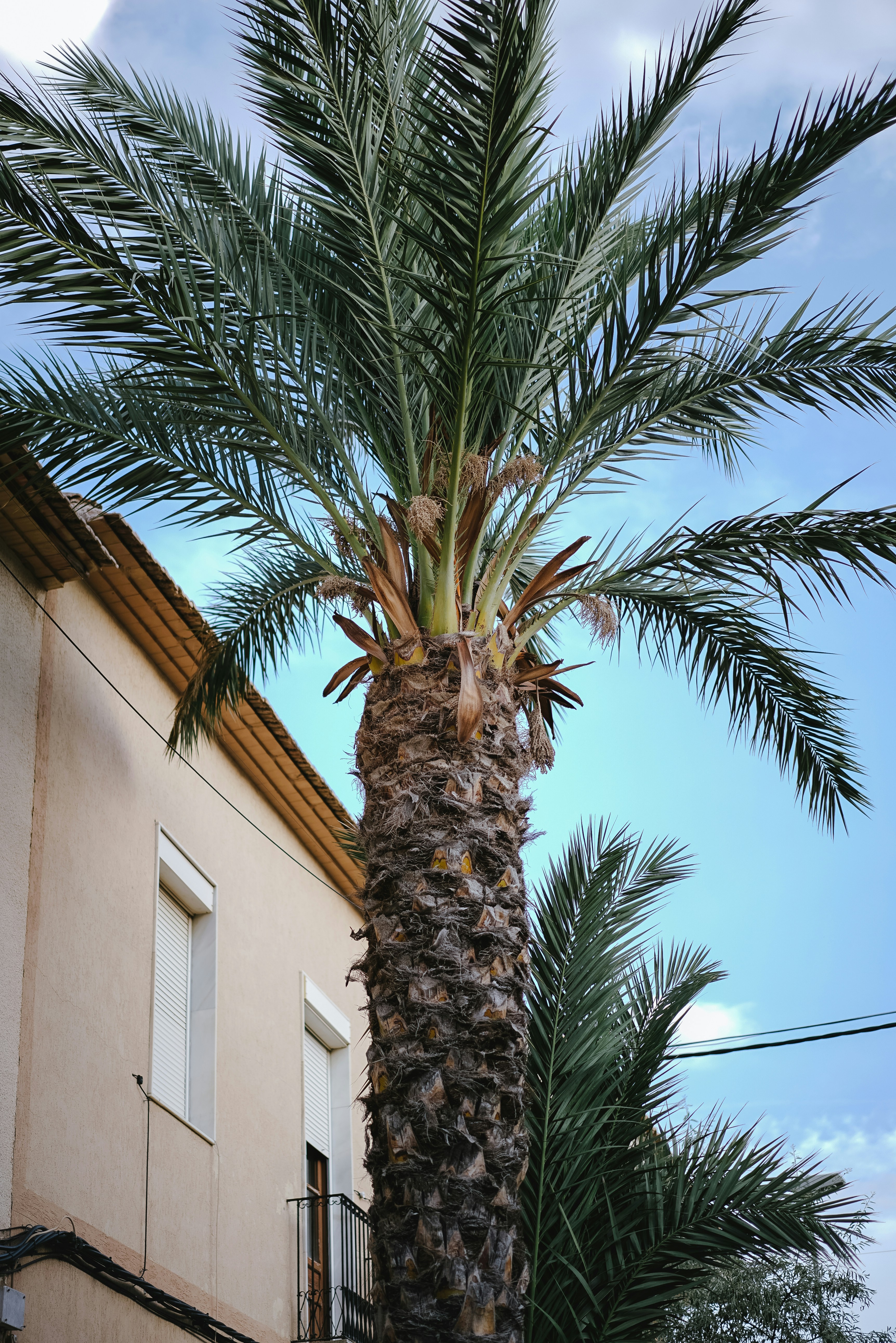 Photo by philhearing