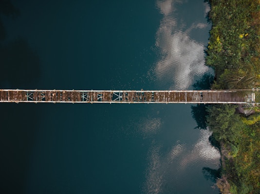 Why the Tacoma Narrows Bridge Collapsed