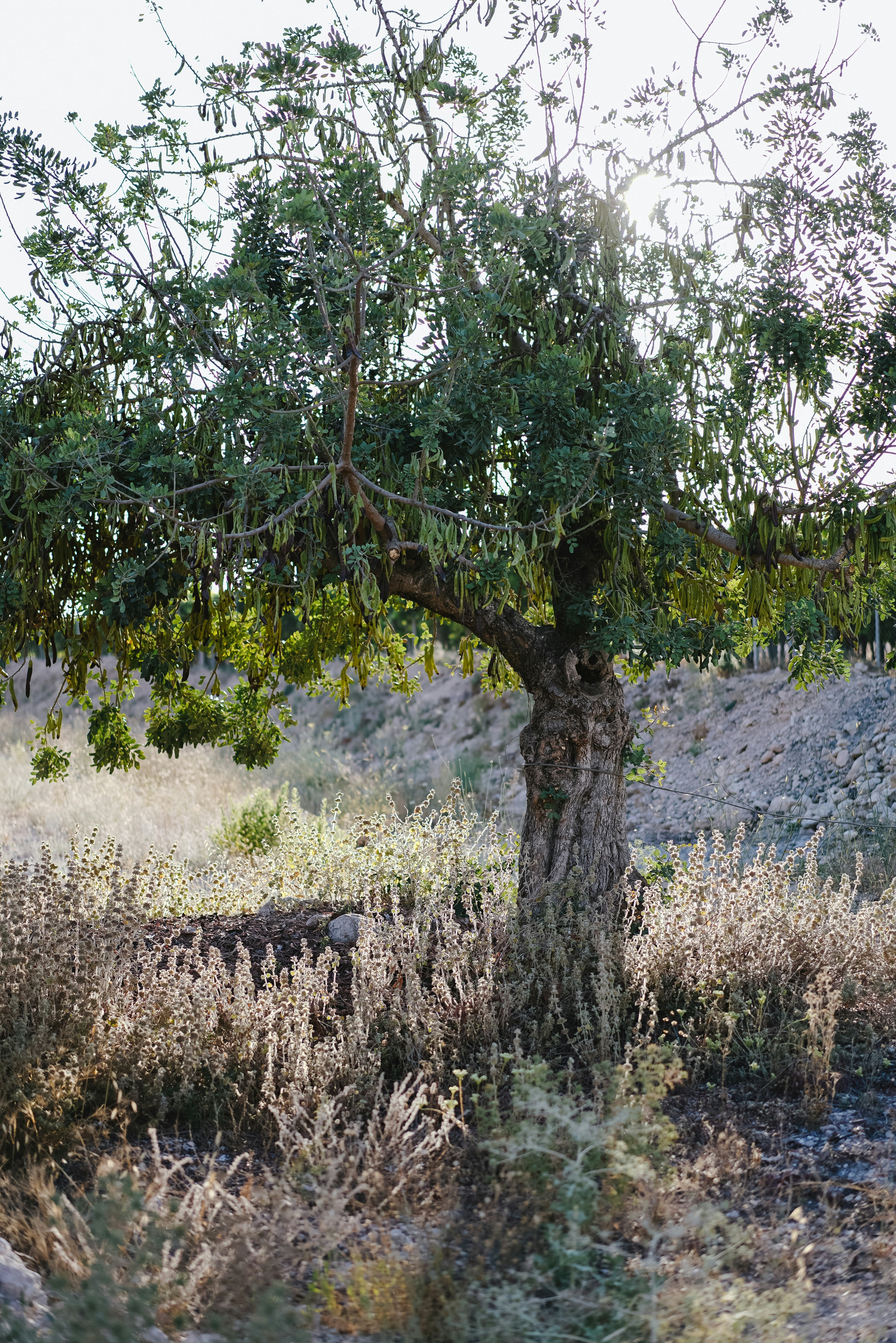 Photo by philhearing