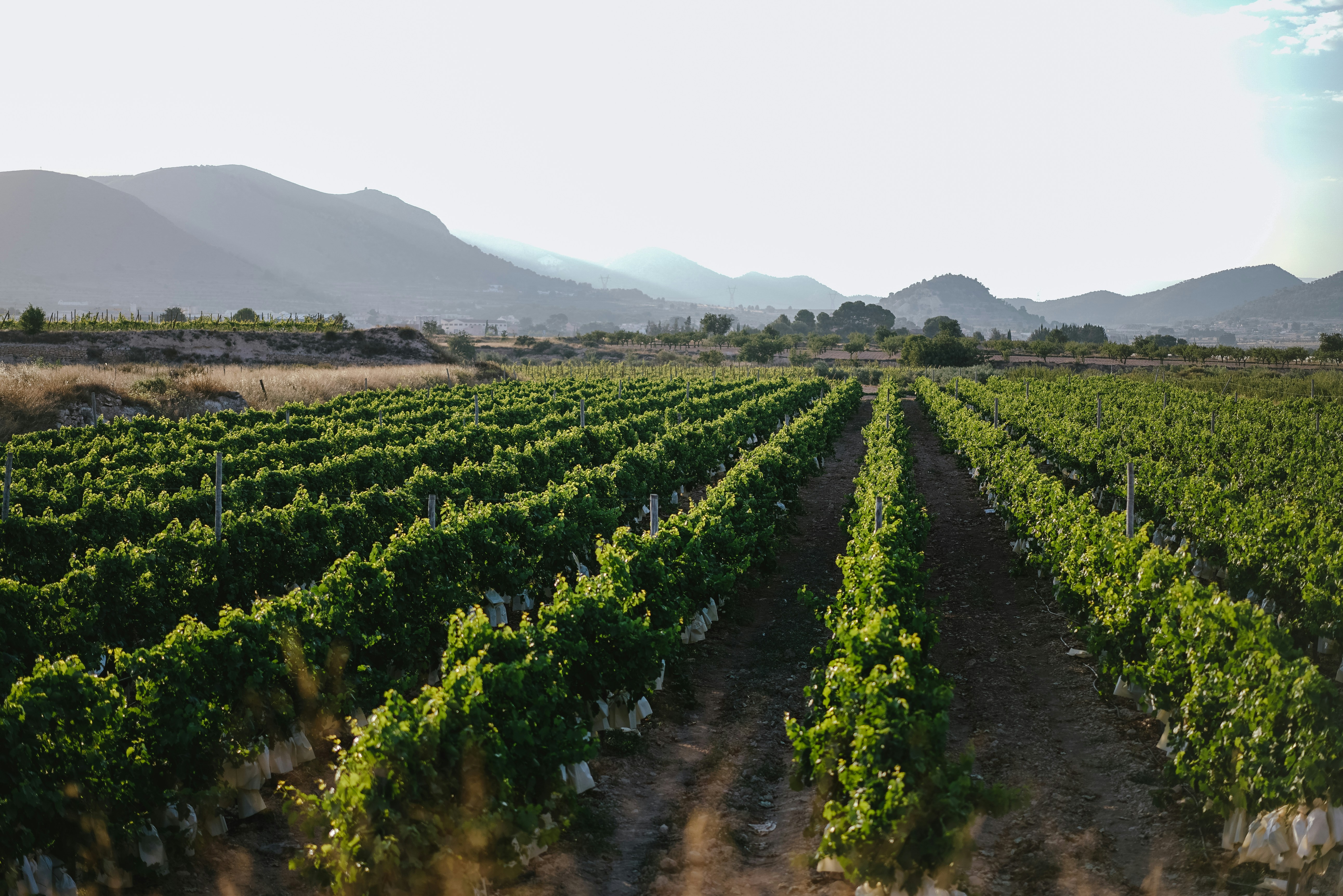 Photo by philhearing