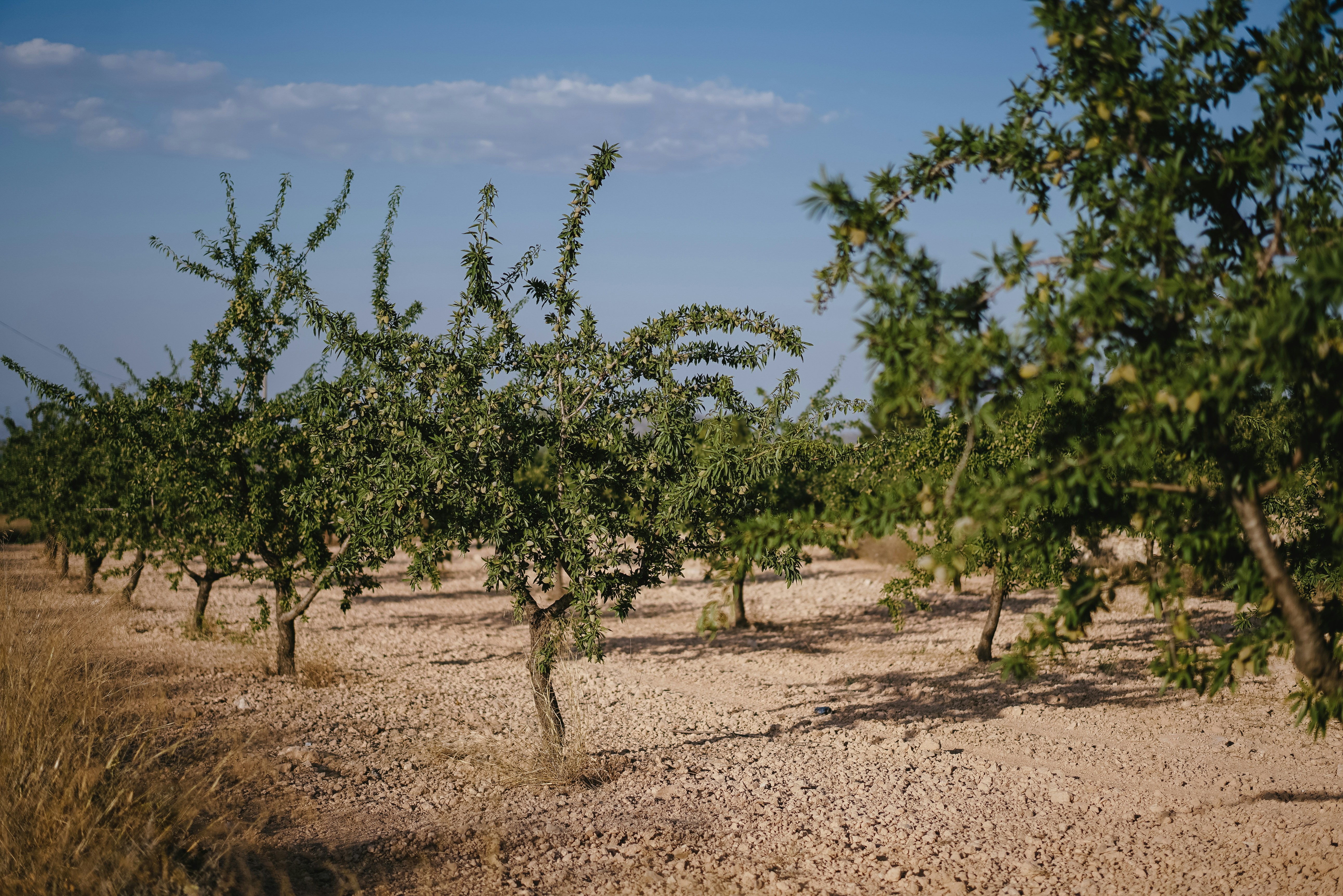 Photo by philhearing