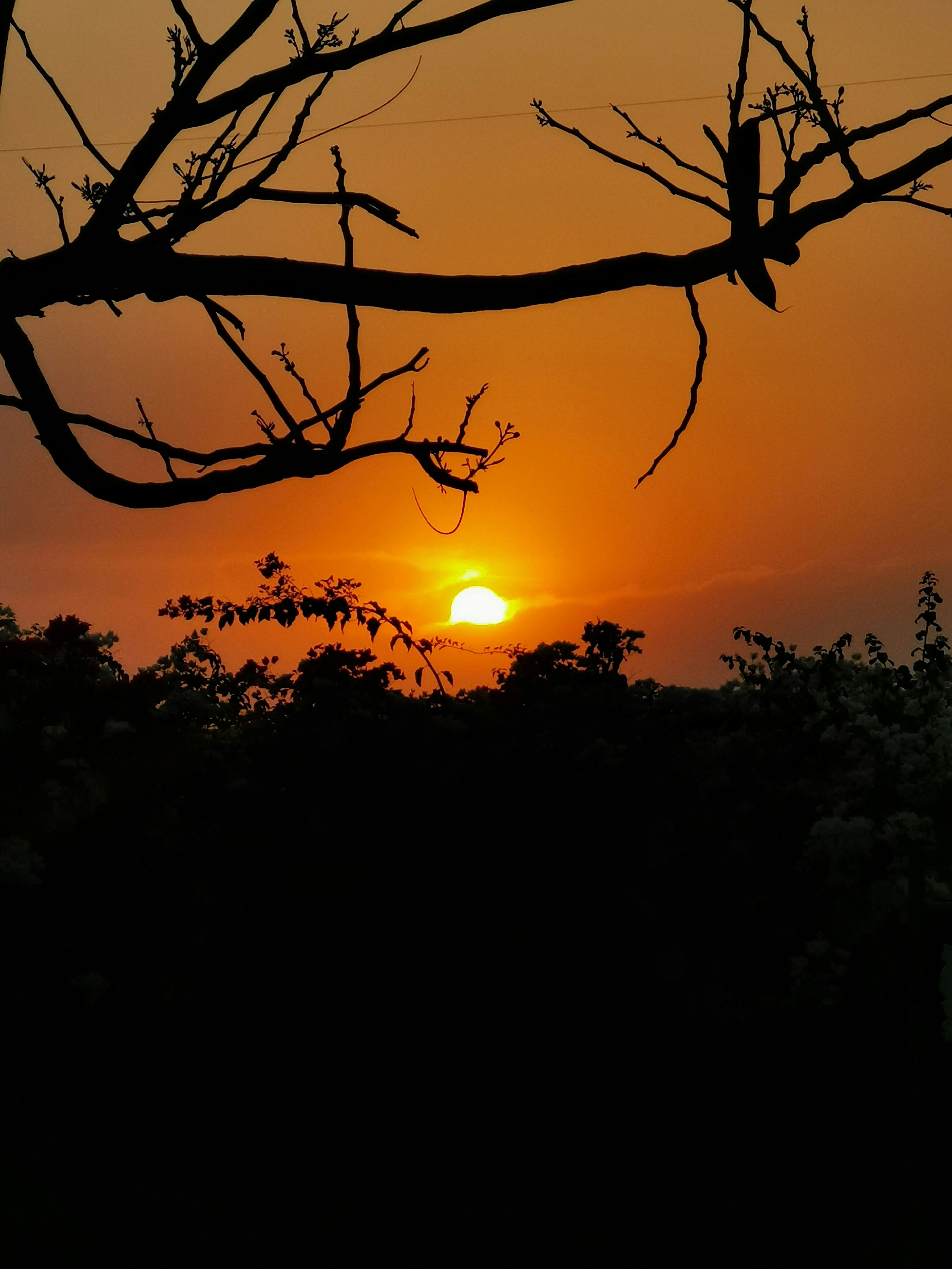 Photo by tharunthejusjp