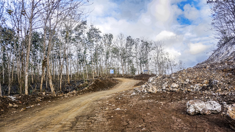 road surrounded with tall and green trees under white and blue sky during daytime