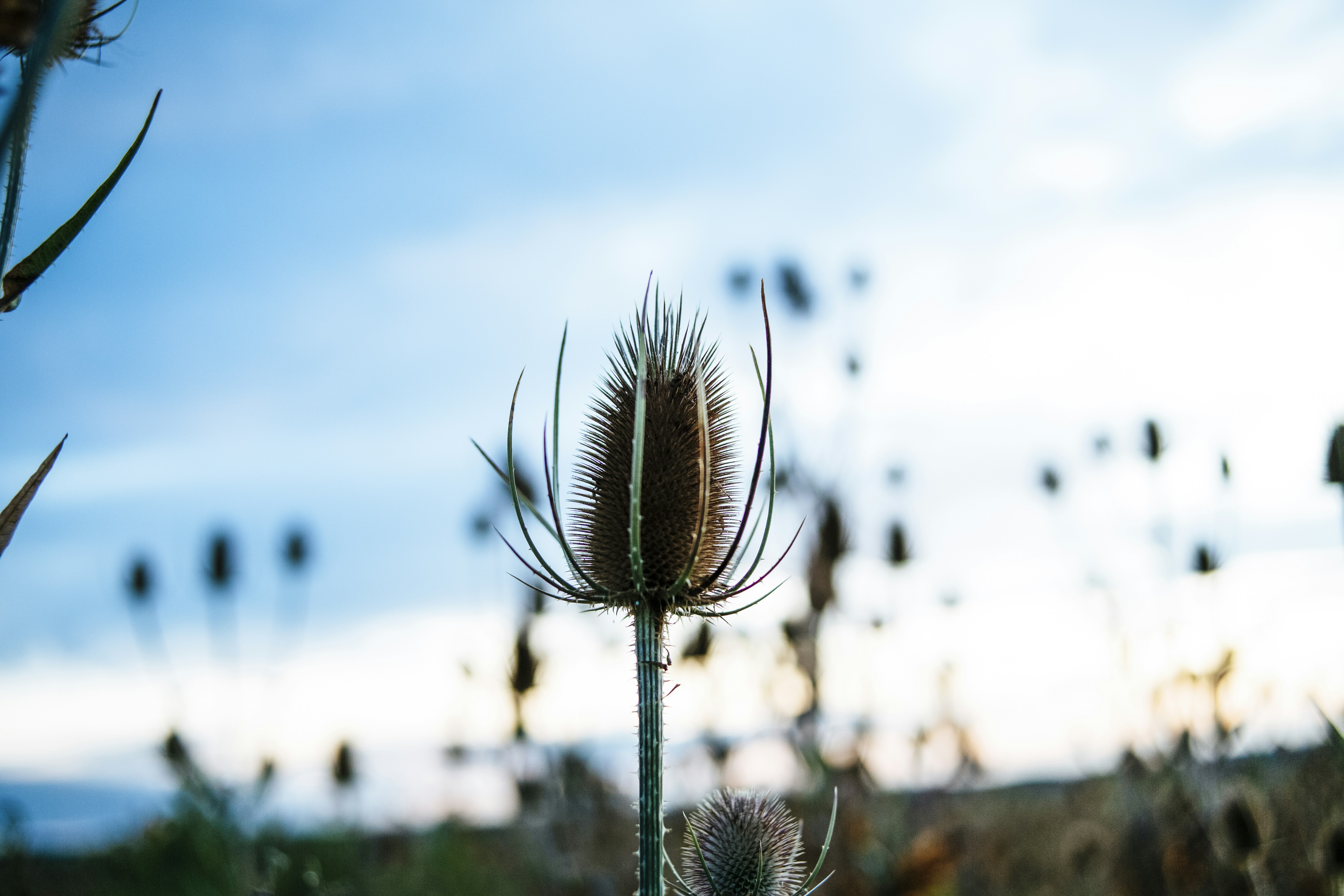 Photo by markusspiske