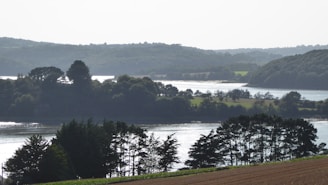 A serene landscape featuring a tranquil river surrounded by lush greenery.