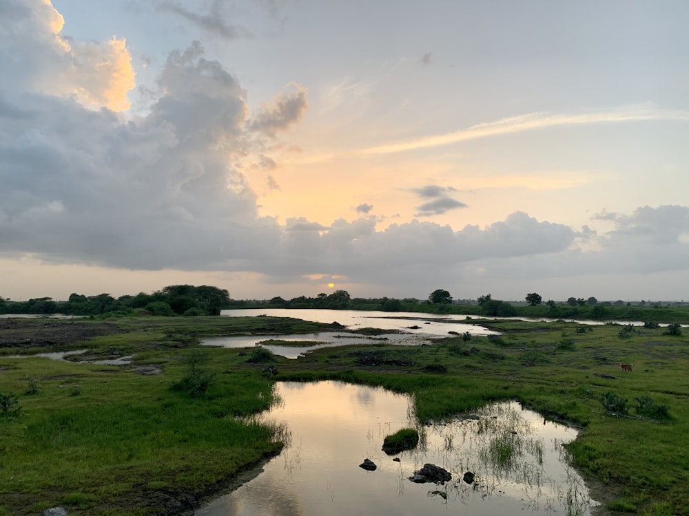 body of water between grass during daytime