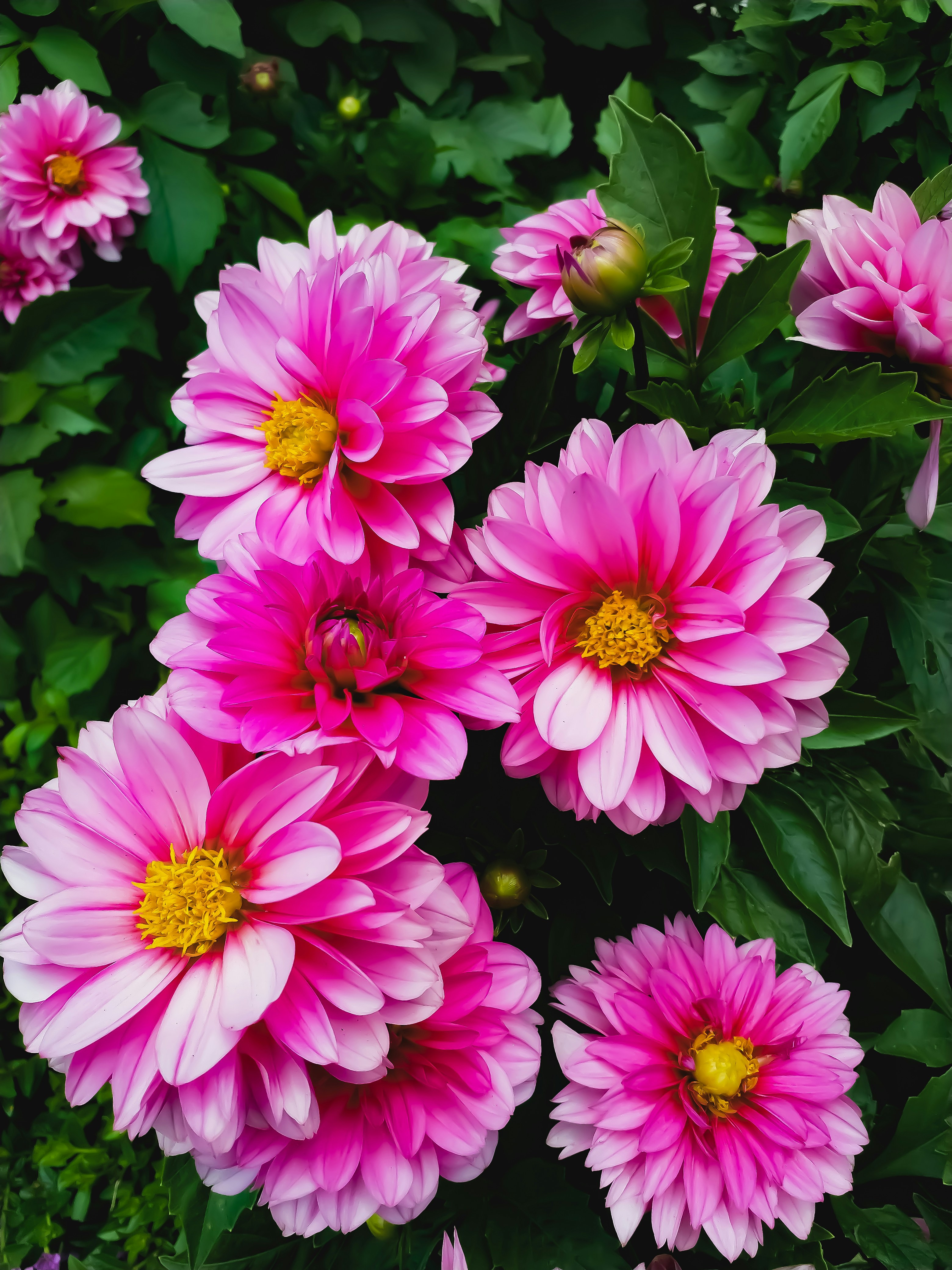 Photo by thanhliem178