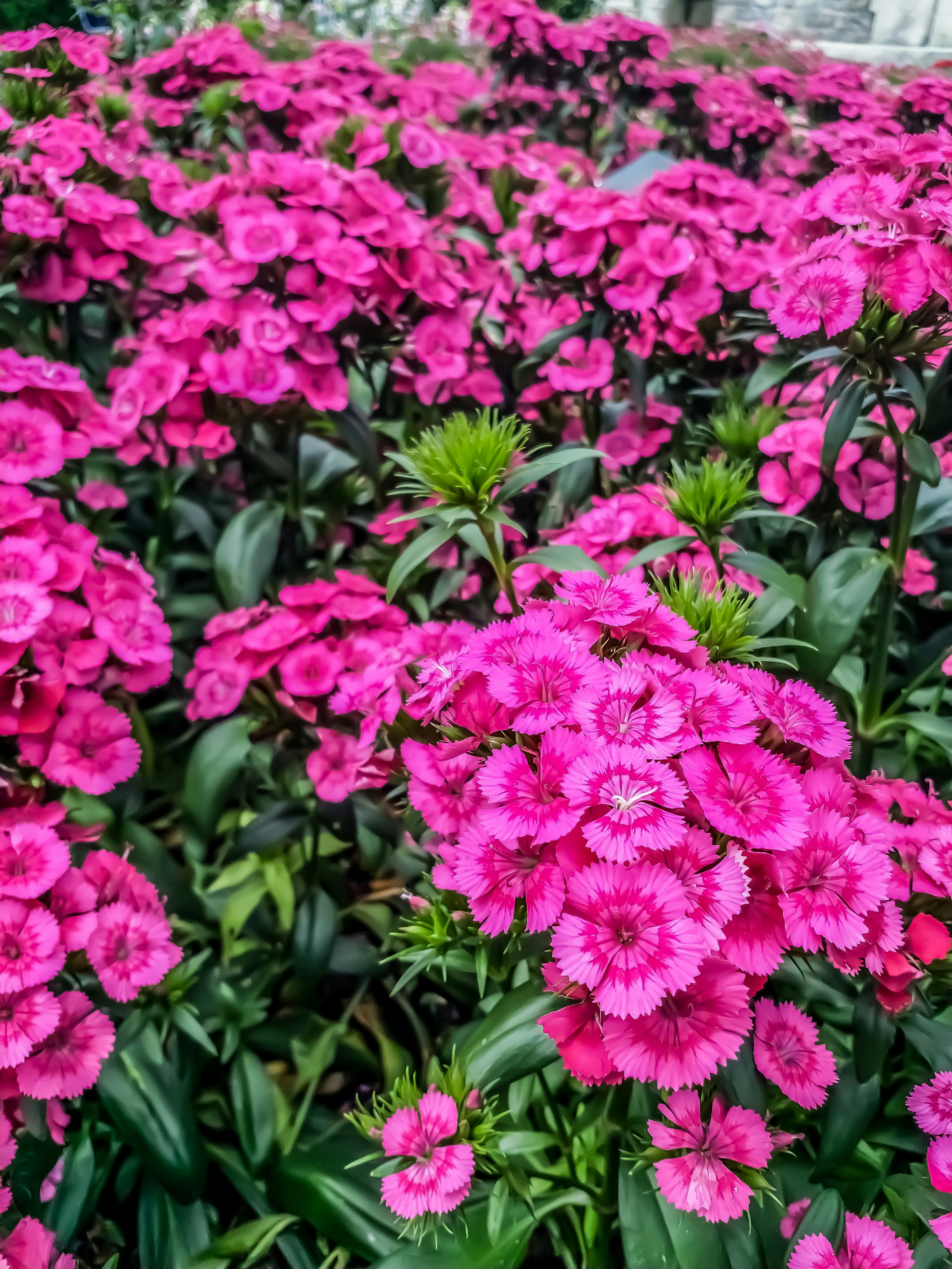 Photo by thanhliem178