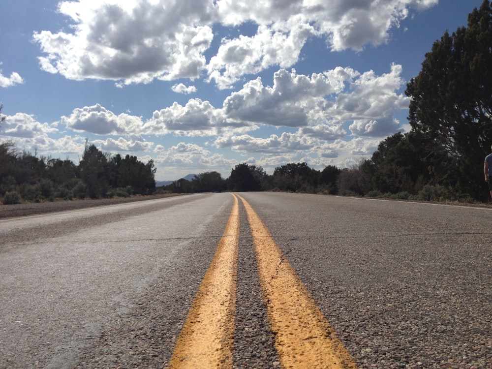 昼間の木々の間の灰色のコンクリート道路