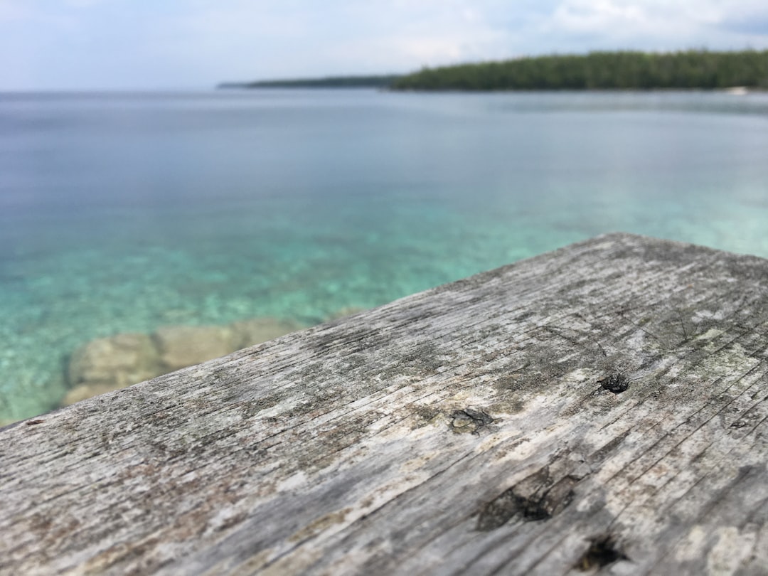 Shore photo spot Burnt Point Loop Tobermory