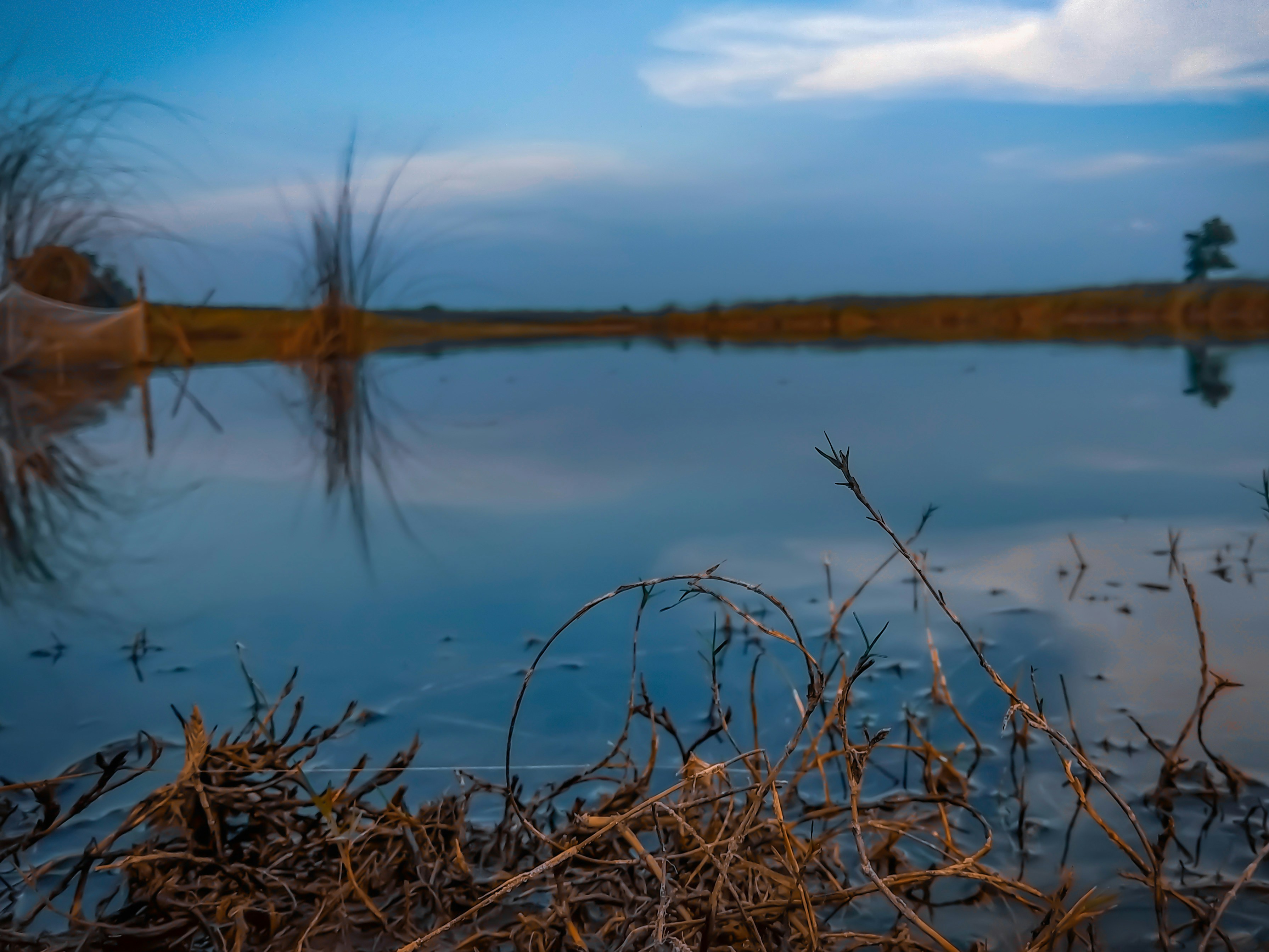 Photo by monirhasnan