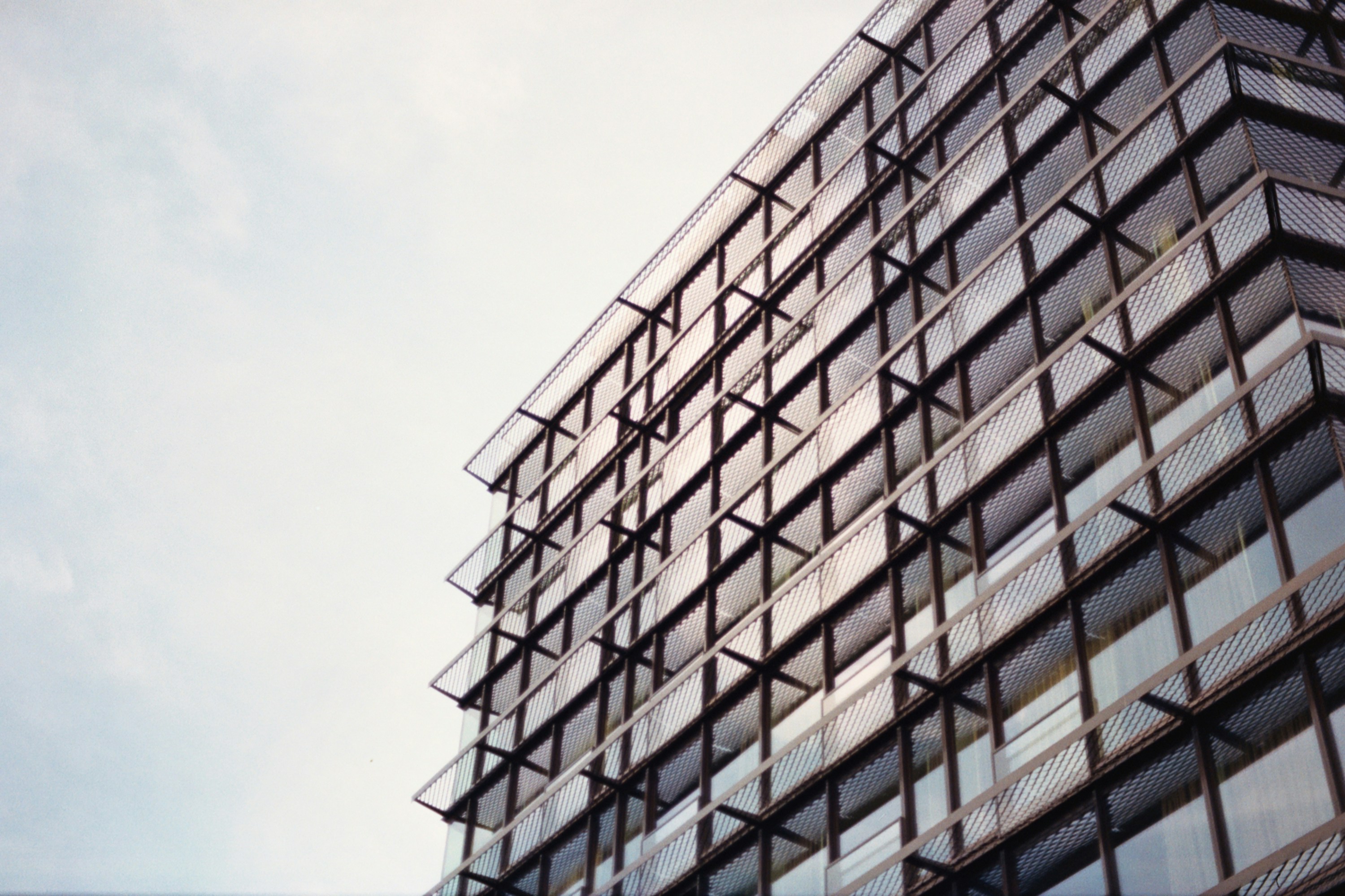 Photo by inecastellano