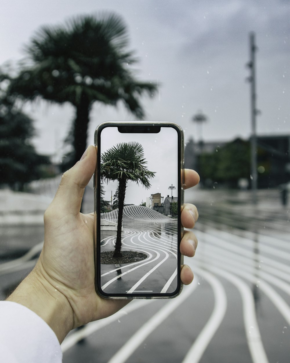 person holding phone