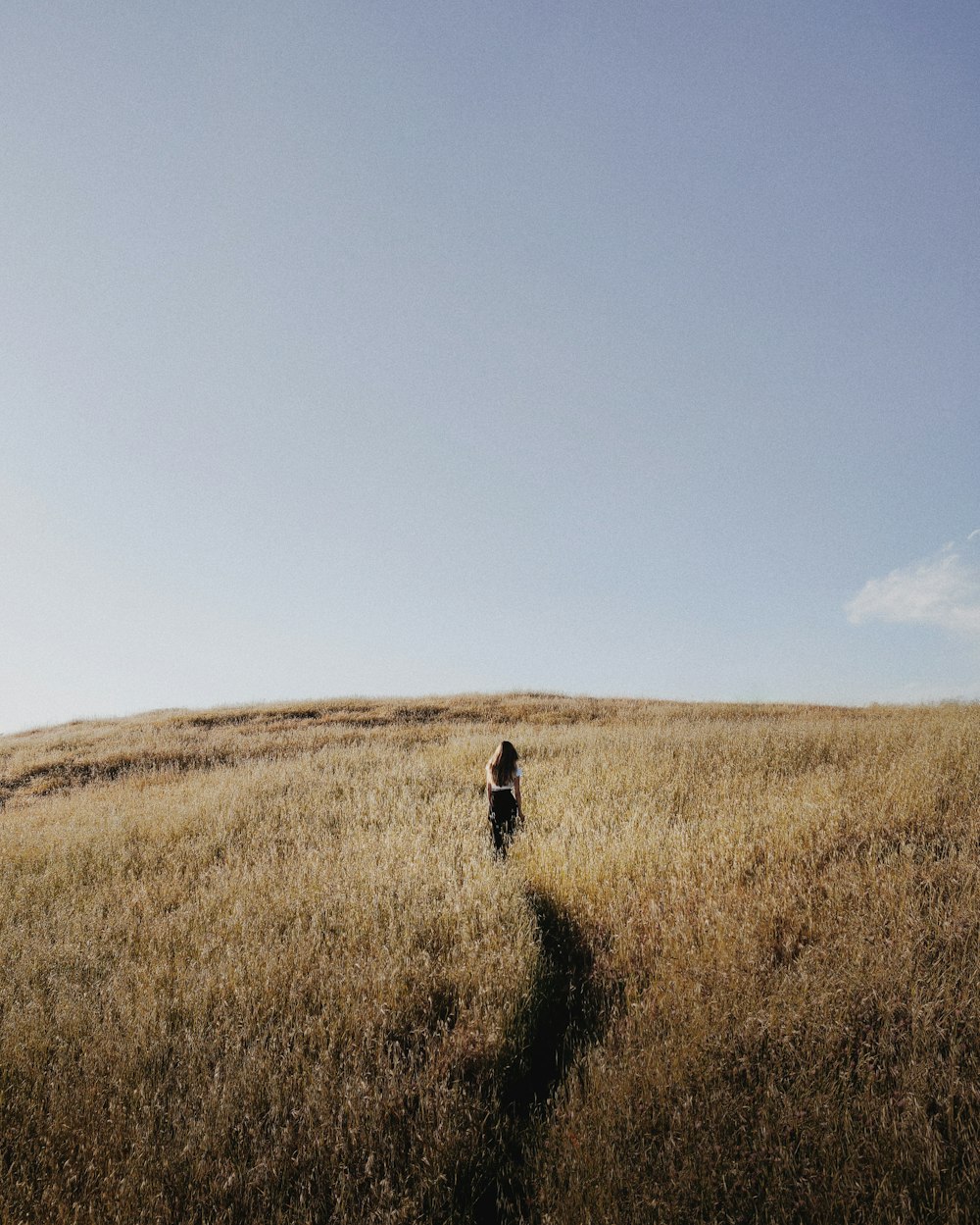 person walking on hill surrounded by grass field during daytime