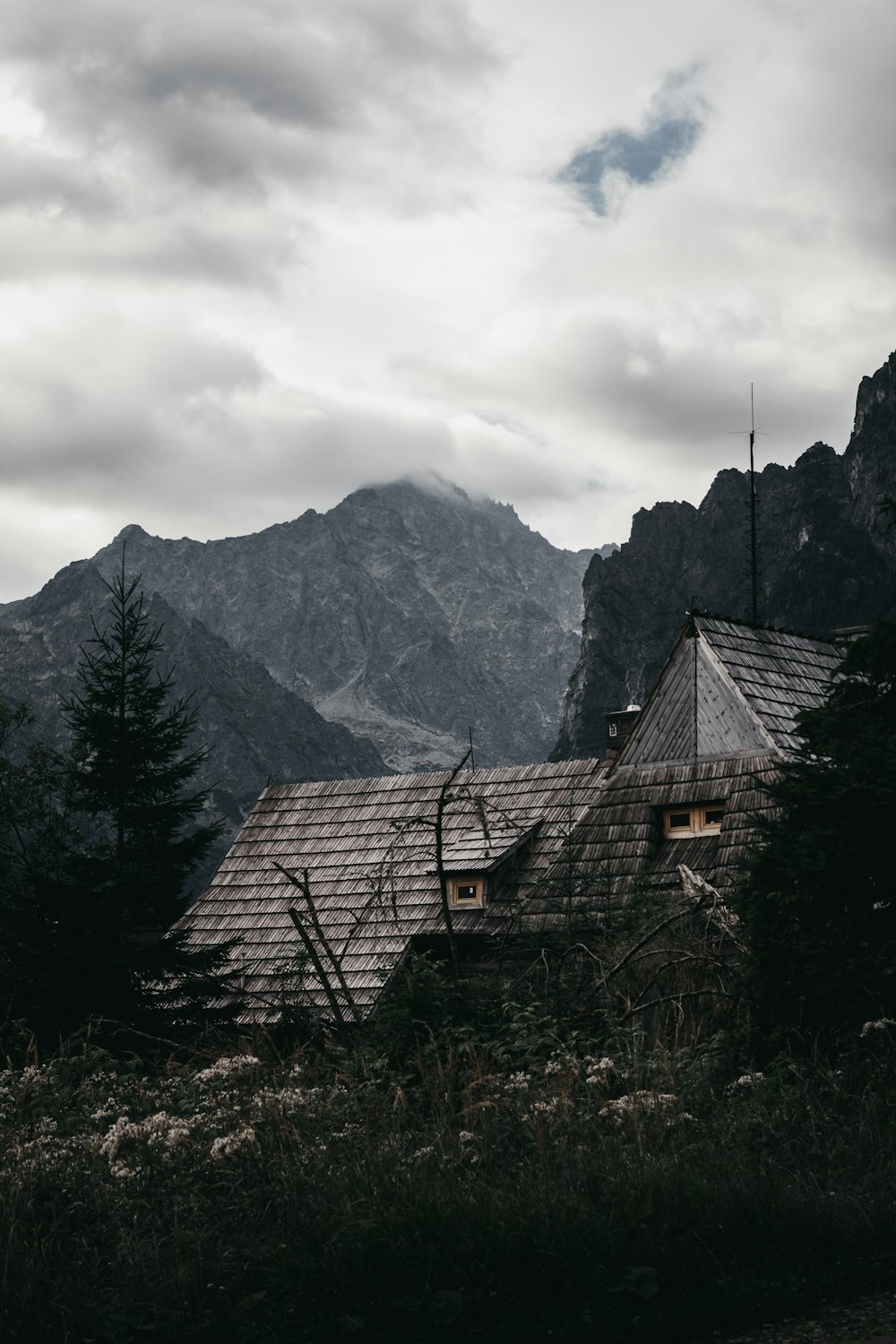 Casa de madera marrón rodeada de árboles altos y verdes que ven la montaña bajo el cielo blanco y gris durante el día