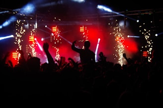 Crowd pulsing with energy at an electropop live show, lights flashing dynamically.