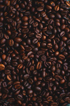 coffee beans