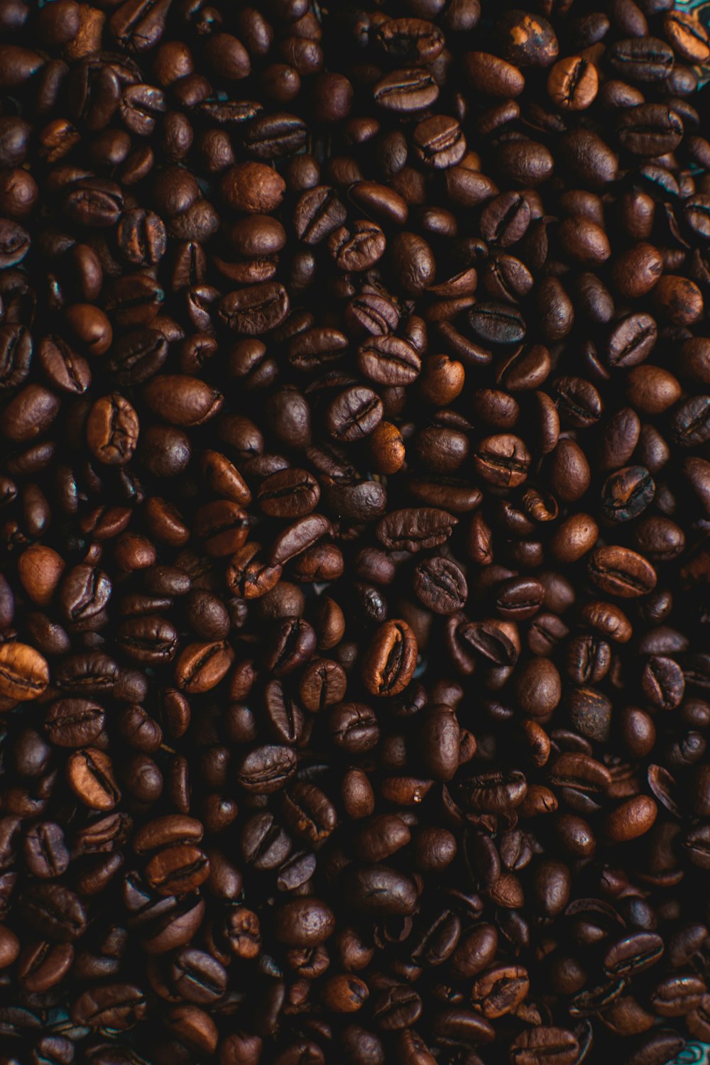 coffee beans