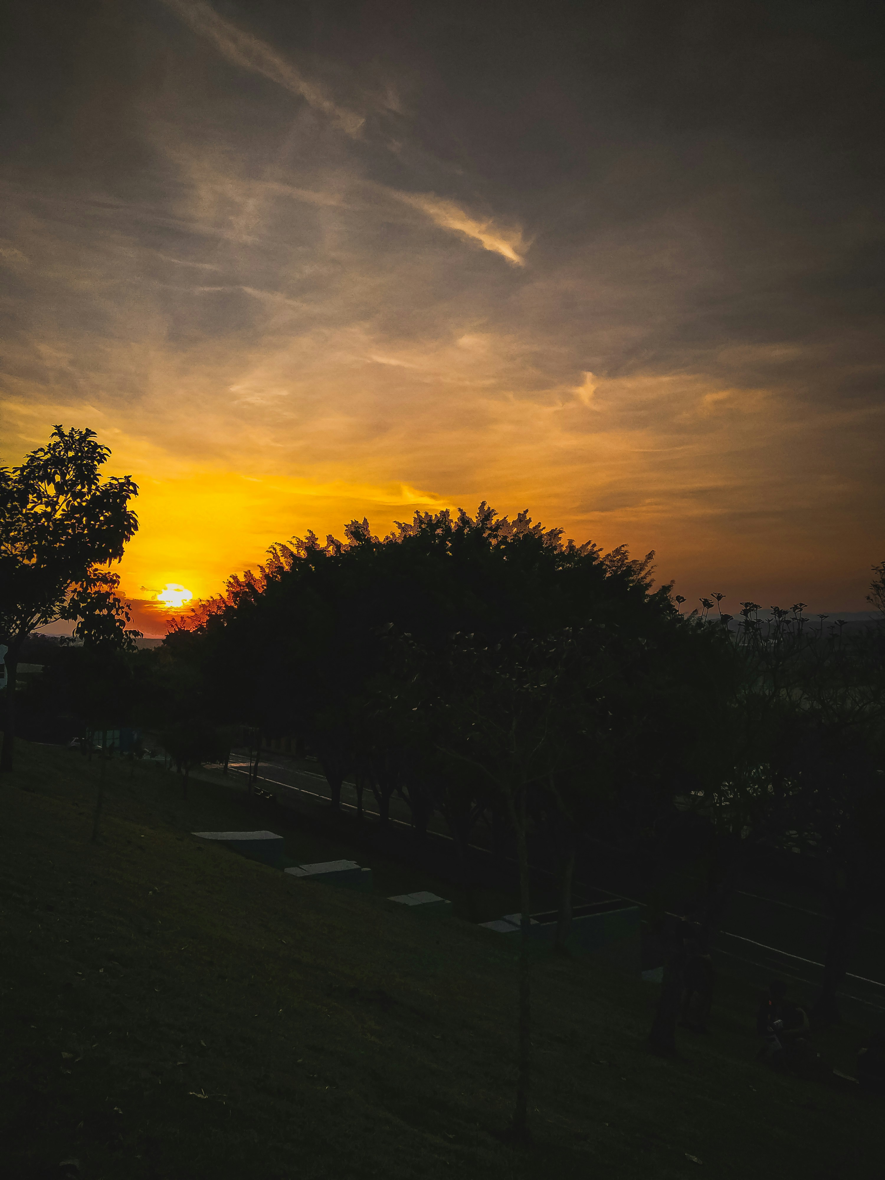 Photo by eulucasolive