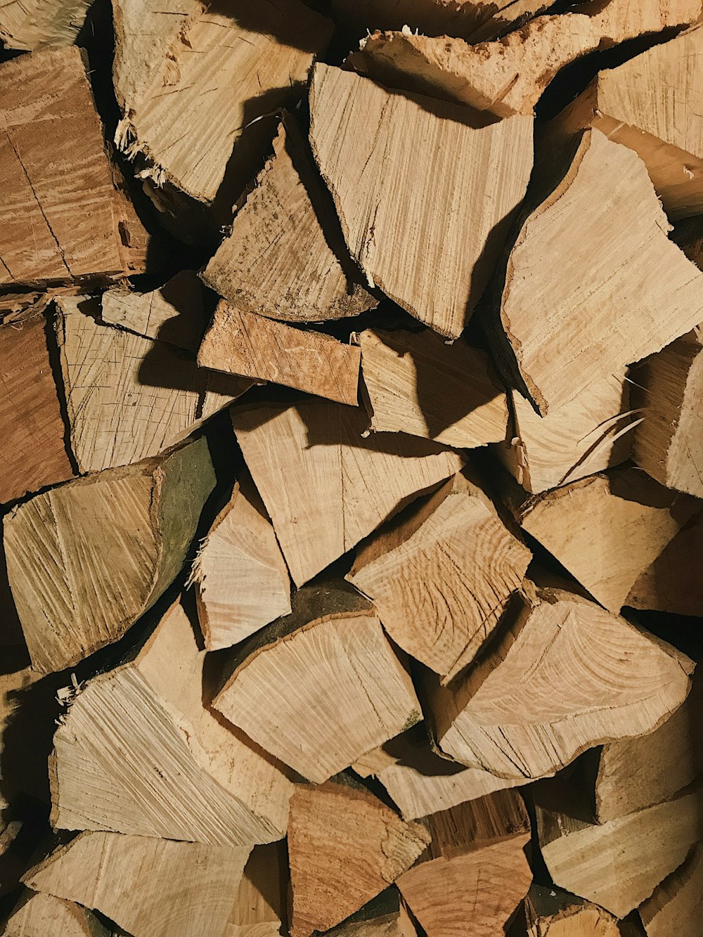 shallow focus photo of firewood