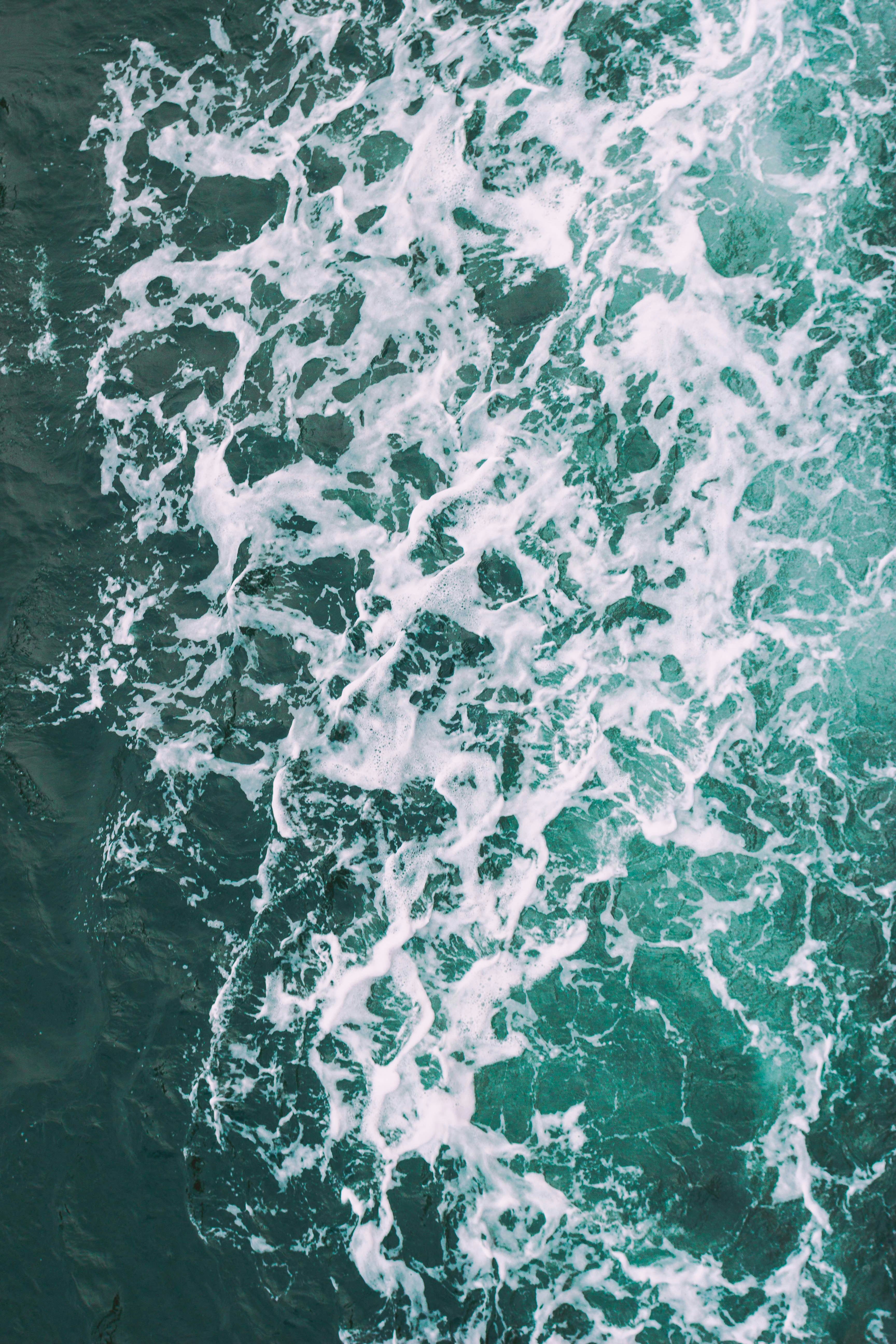 Is Sea Foam Dangerous For Dogs