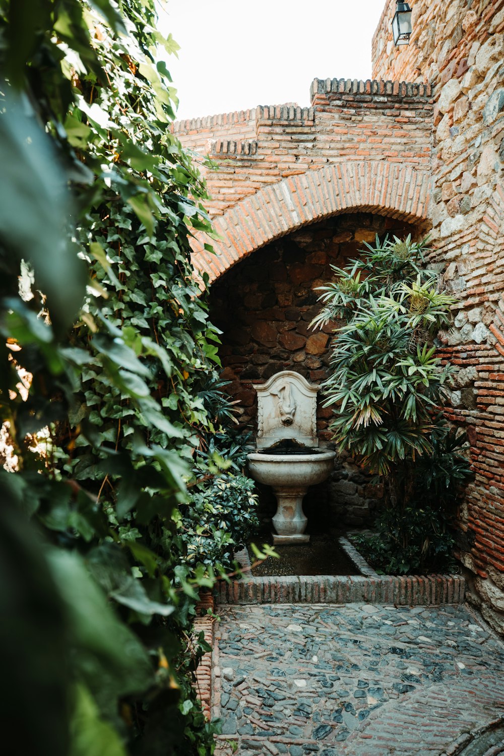 planta ao lado do edifício de tijolos