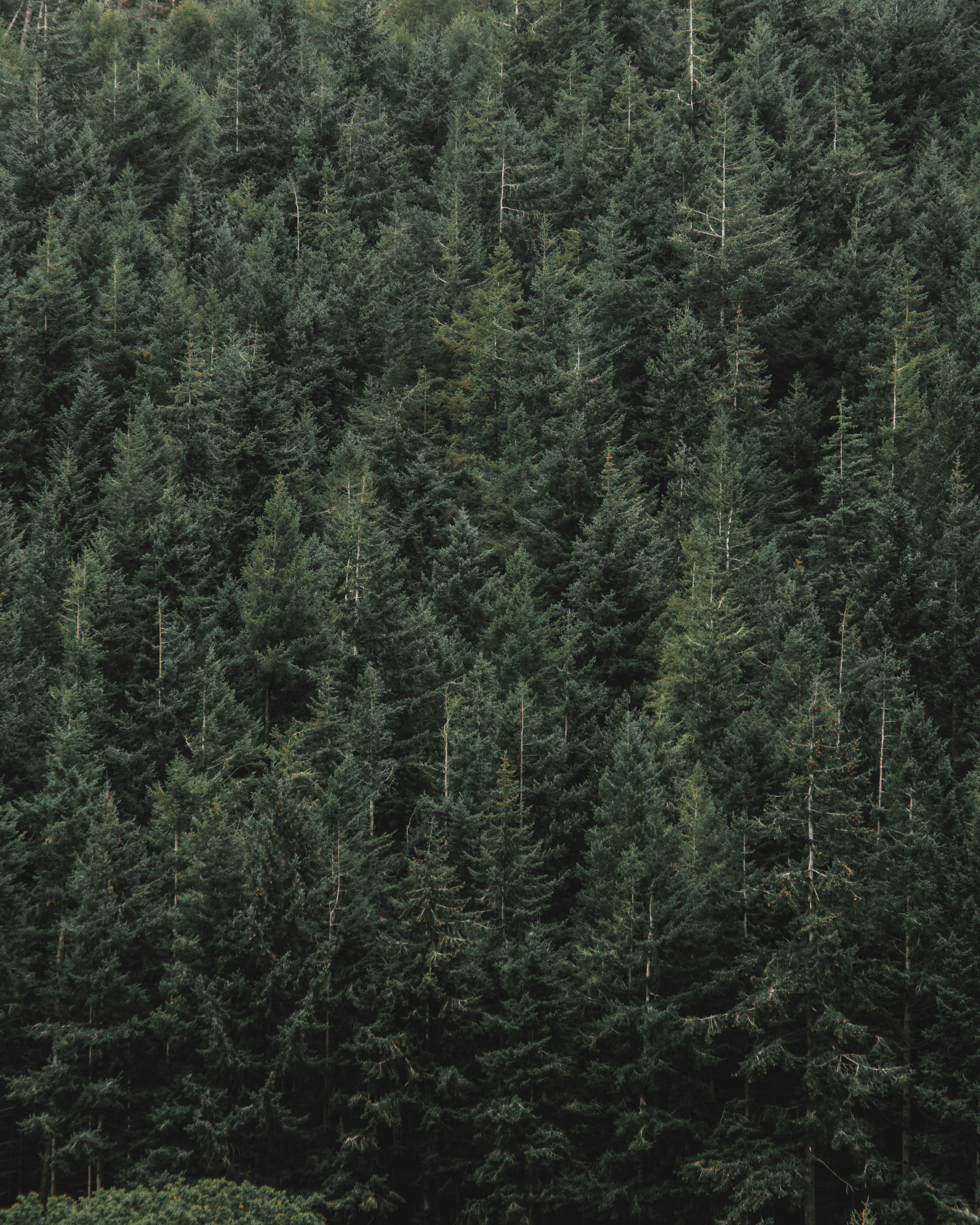 Photo by matthew_daniels