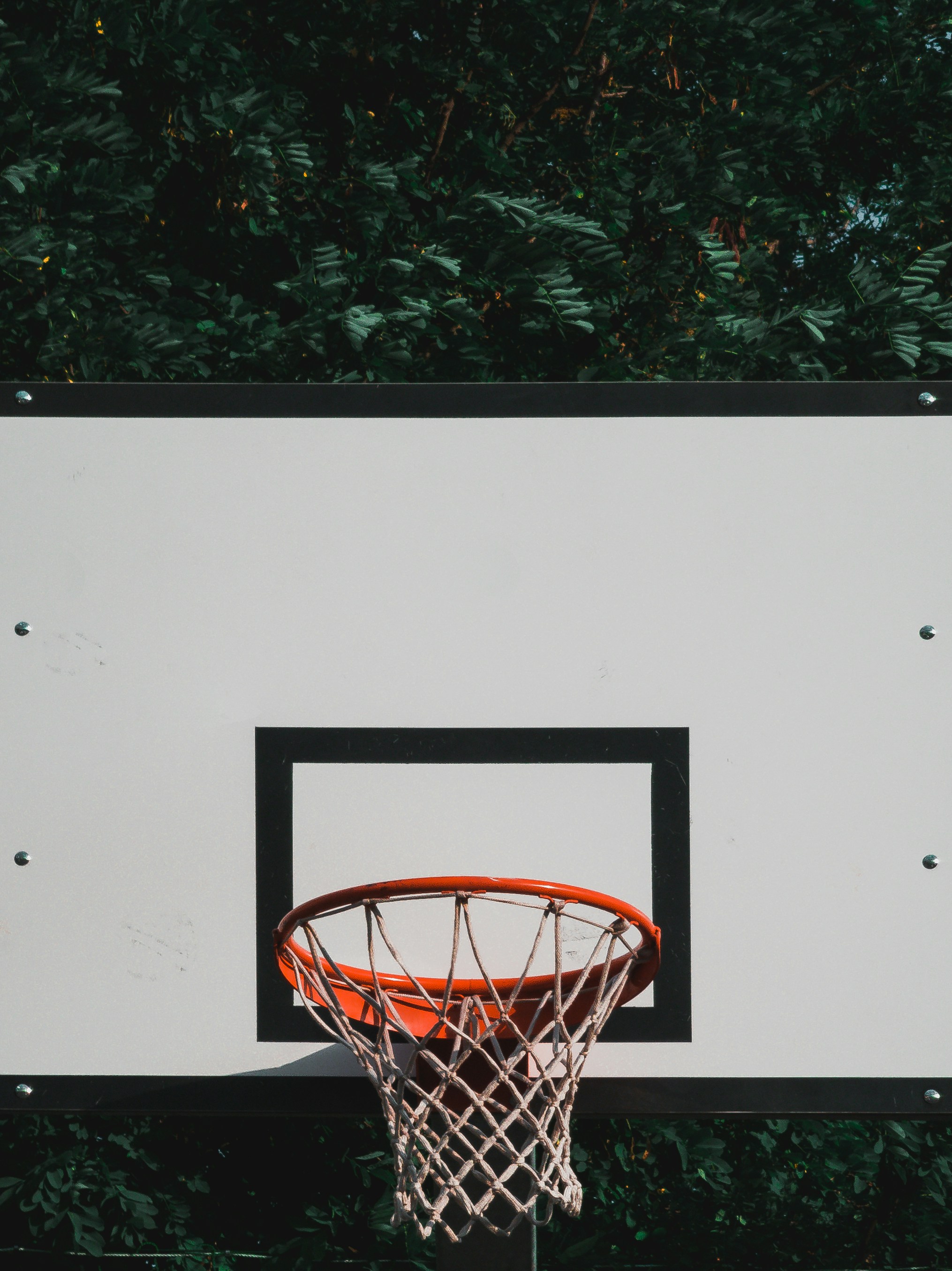 black, white, and red basketball hoop