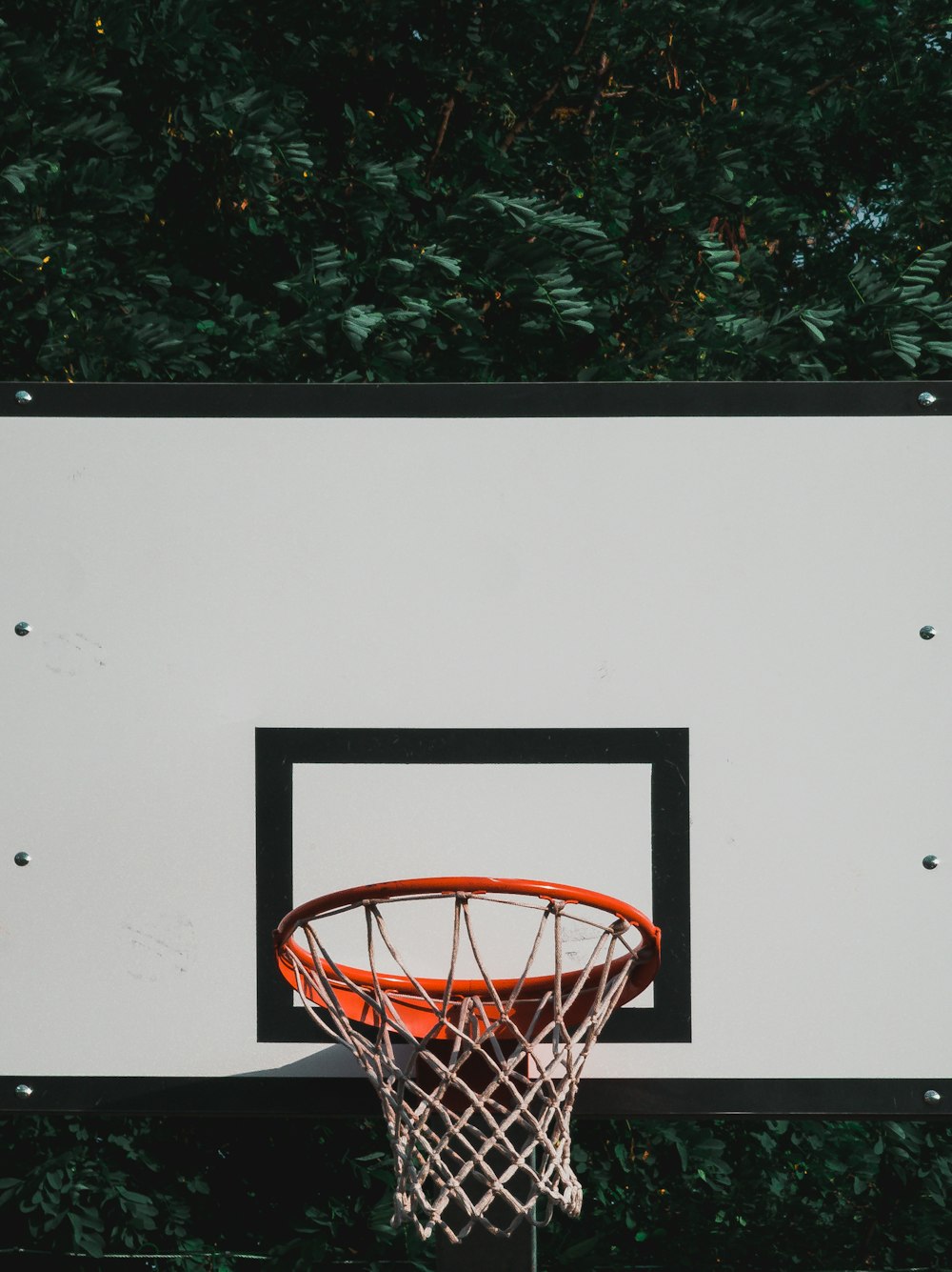 black, white, and red basketball hoop