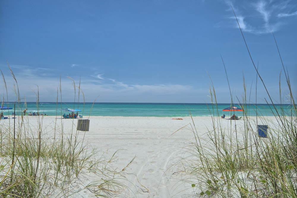 ocean during daytime