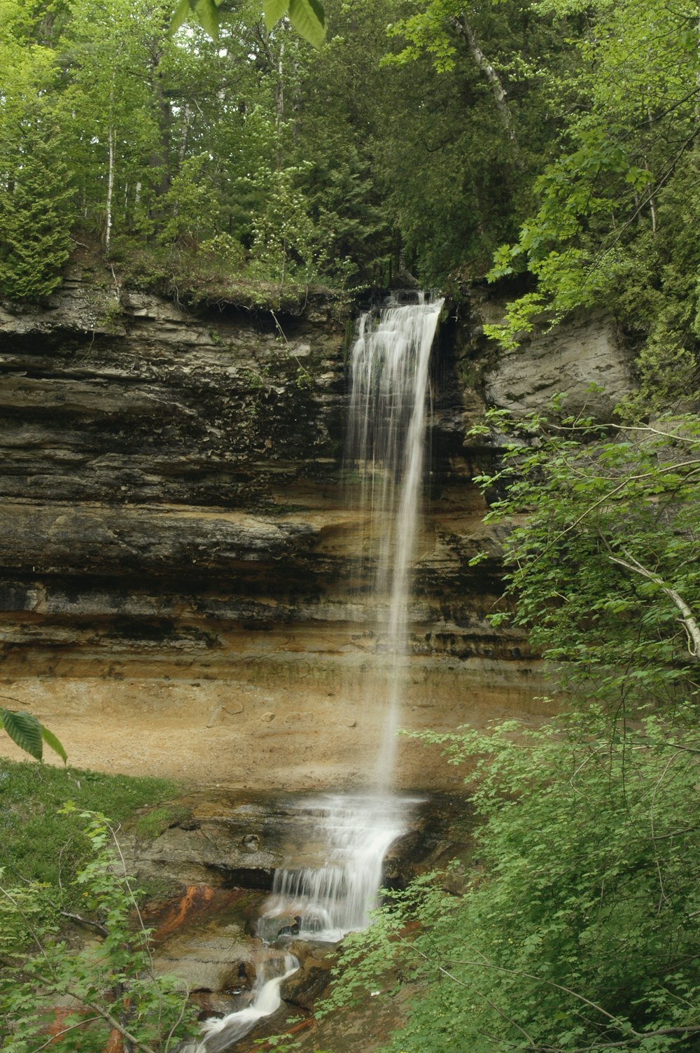 waterfalls in forest at daytime