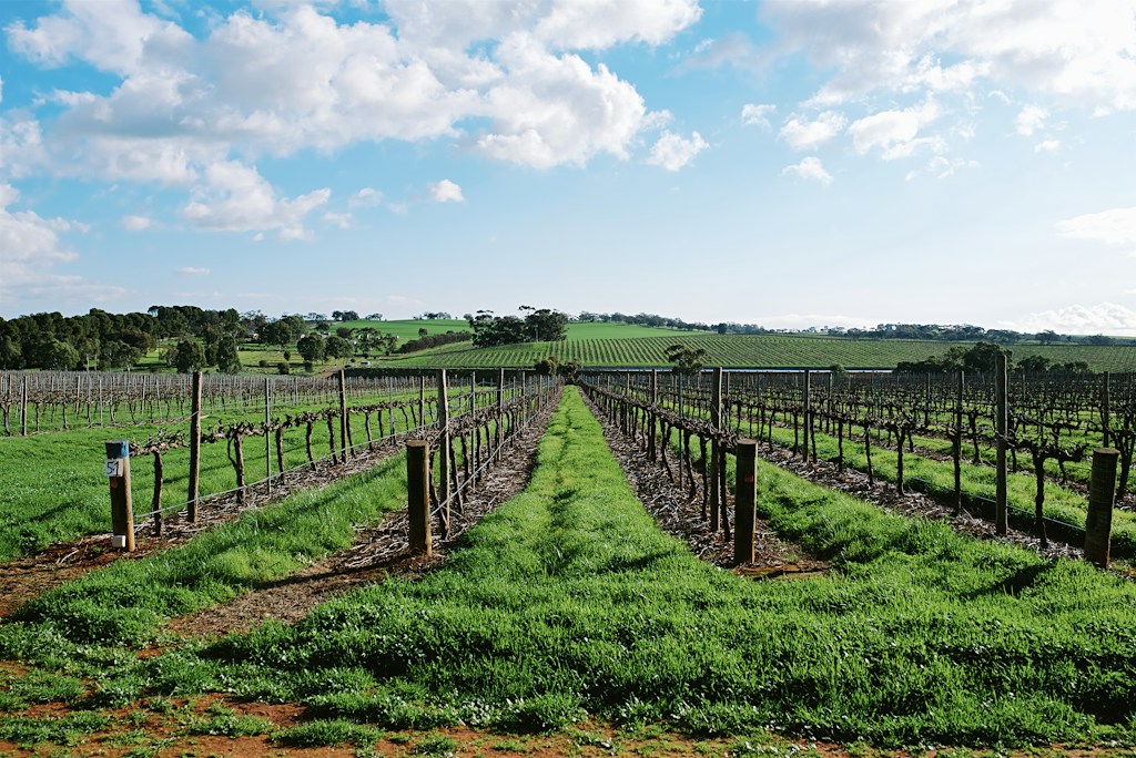 Wine Country
