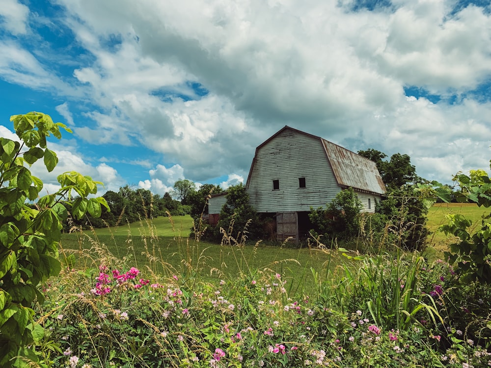 grey wooden barn