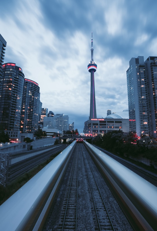 Morning fog over vineyard