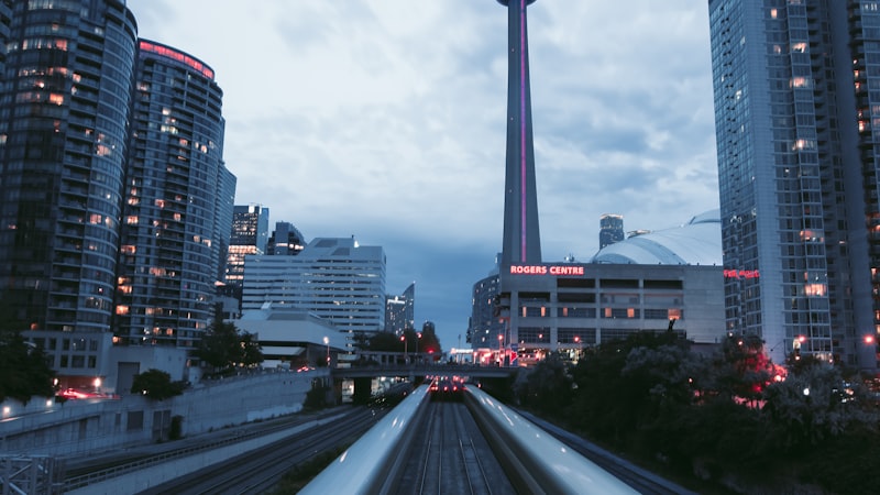 Beyin modeli - kognitif saglik